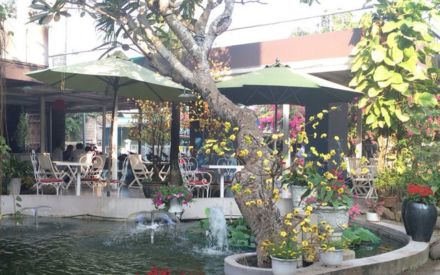 Cau Vua Cafe
