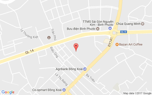 Huong Son Rice Agent