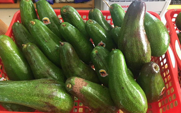 Efarm - Thực Phẩm Sạch - Thành Công