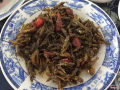 Cá bống Sông Trà