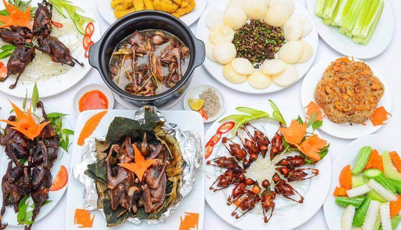 Thứ Cò - Chim Tươi Bốn Mùa