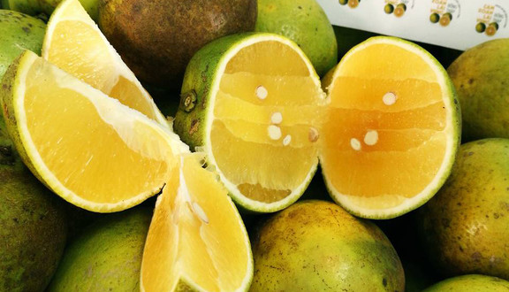 Strong Life - Thực Phẩm Sạch