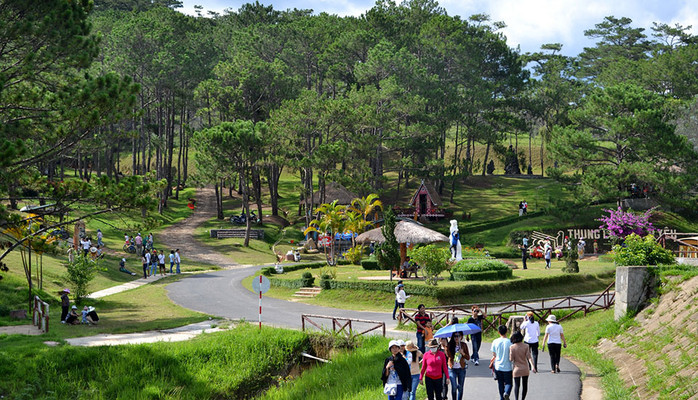 Yến Tâm Travel