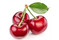 Cherry Ni