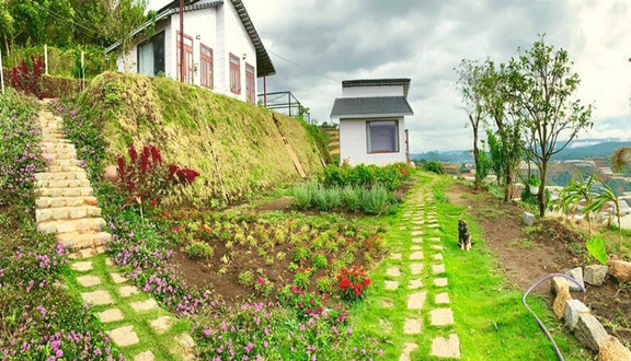 Vườn Mây Dalat - Cloudy Garden