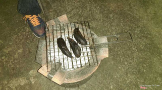 Món tráng miệng