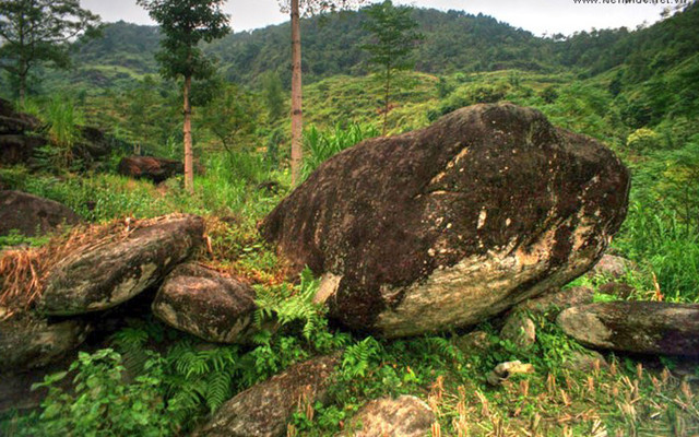 Bãi Đá Cổ Nấm Dẩn