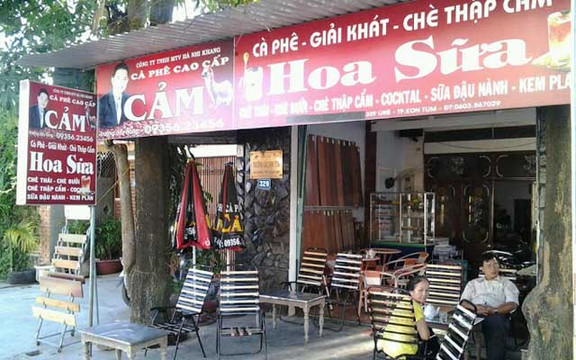 Hoa Sữa Cafe