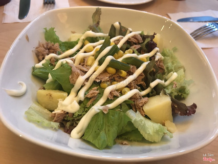 Salad cá ngừ