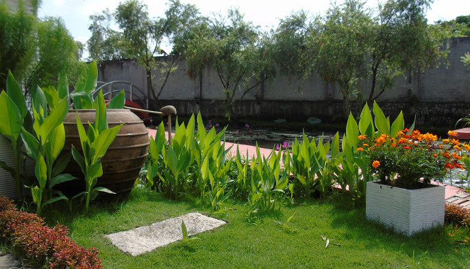 Phim Trường Kim's Garden