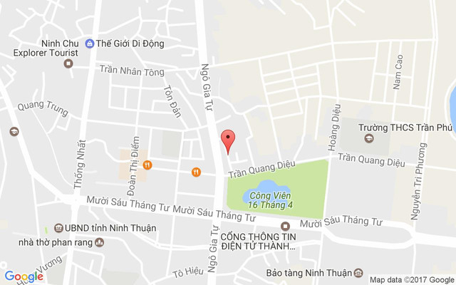 Hoa Tulip Coffee Shop