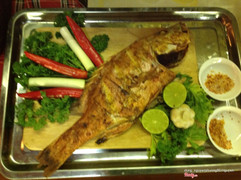 grilled fish 315k