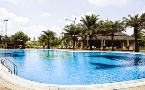 Hồ bơi