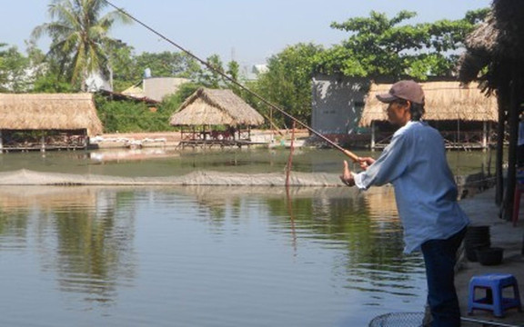 Tân Điểm Hẹn Xanh - Câu Cá Giải Trí