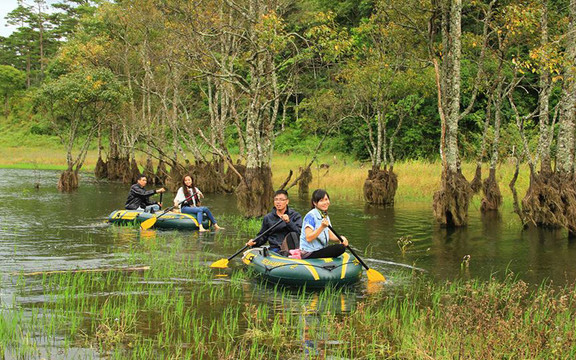 Dalat Discovery - Khám Phá Đà Lạt