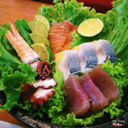 sashimi