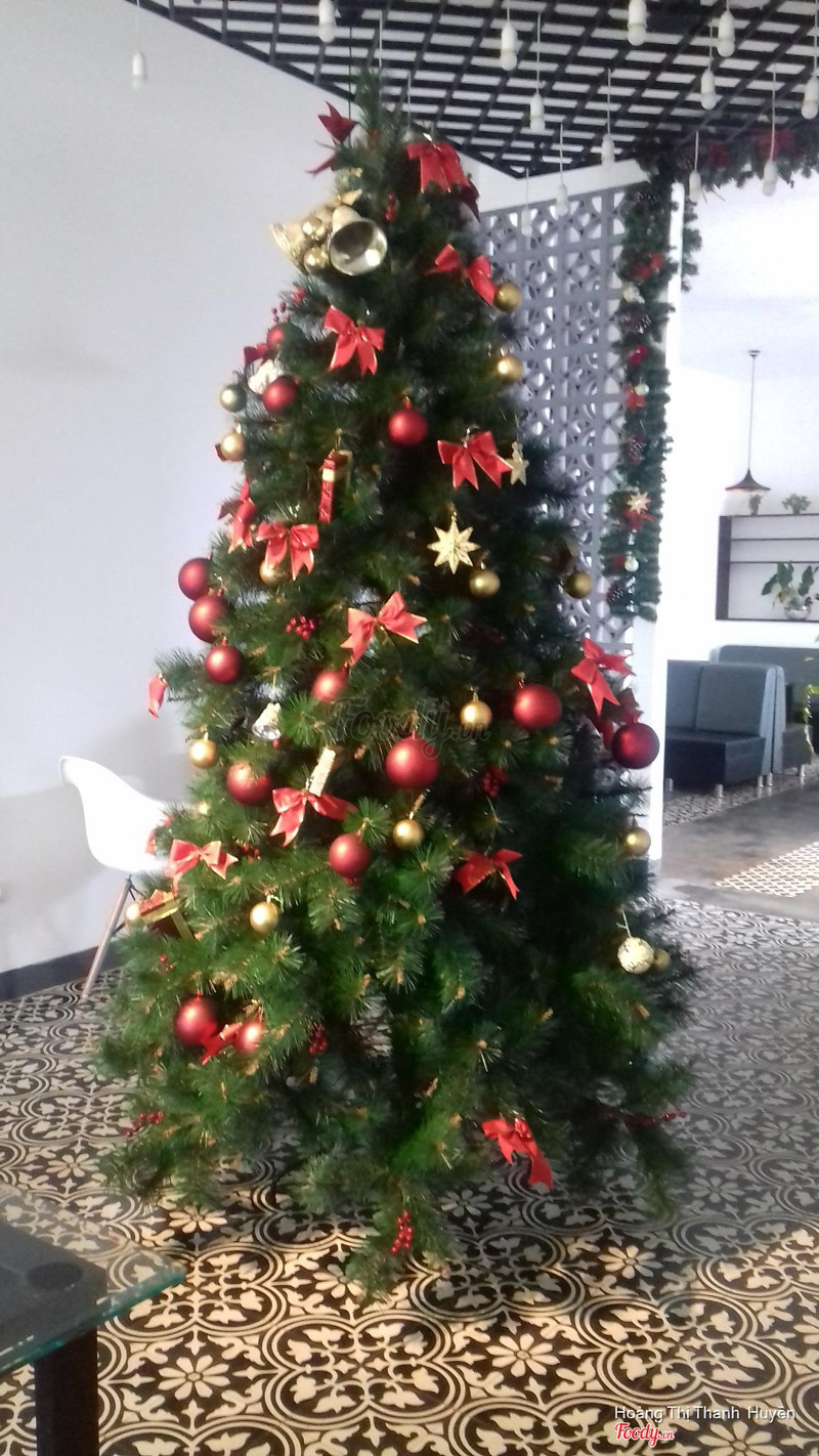 Cây Thông Noel 🌲⛄ 