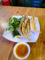 C&#225; đục chi&#234;n gi&#242;n