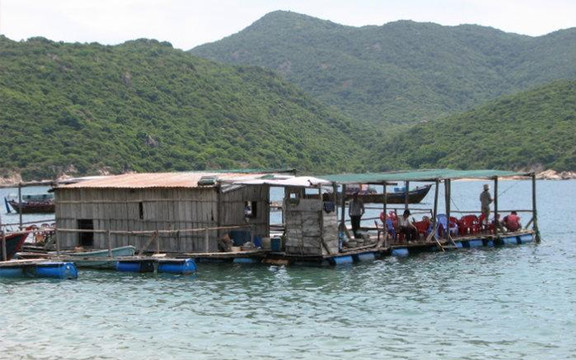 Nhà Bè Như Ý - Hải Sản Tươi Sống