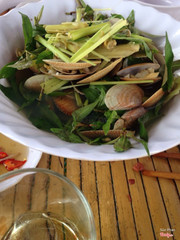 Sò hấp xả ...thịt dai ngon và rất tươi ,nước ngọt ,tóm lại là thơm ngon tươi ngọt đến giọt cuối cùng