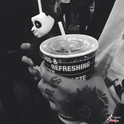 Combo Kungfu Panda
