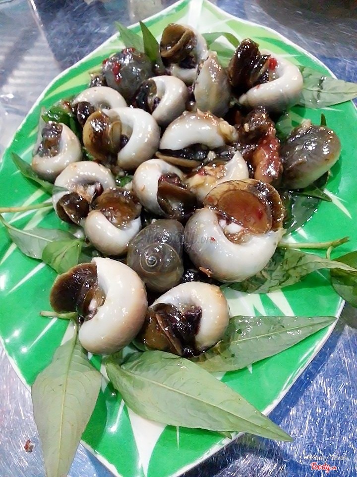 Ốc mỡ