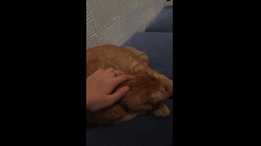 Passengers - Fruity & Nutty Drink