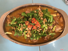 Gà đá giả cầy