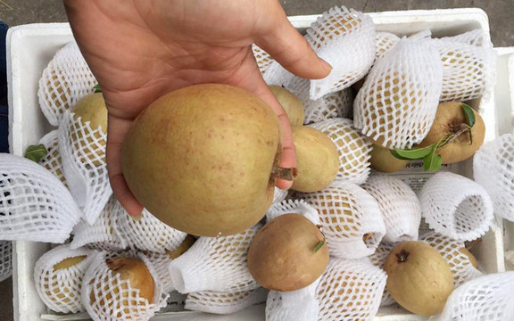 Rum - Thực Phẩm Sạch