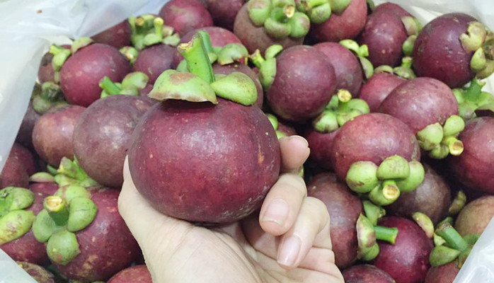 Xanh's Farm - Shop Online