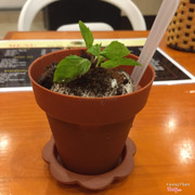 Kem chậu cây - 15k