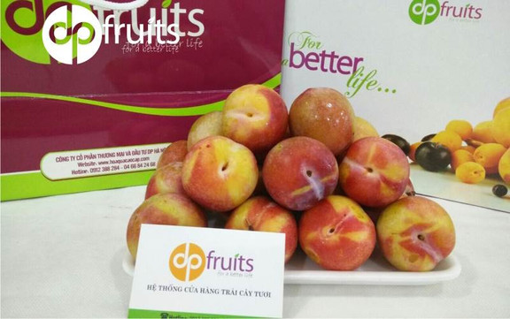 DP Fruits - Trần Đăng Ninh