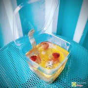 jelly tr&#225;i c&#226;y