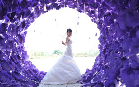 Lily Weeding - Cát Linh