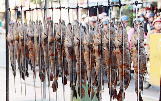 Tư Phát - Cá Lóc Nướng