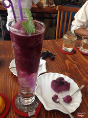 Blueberry soda da xay