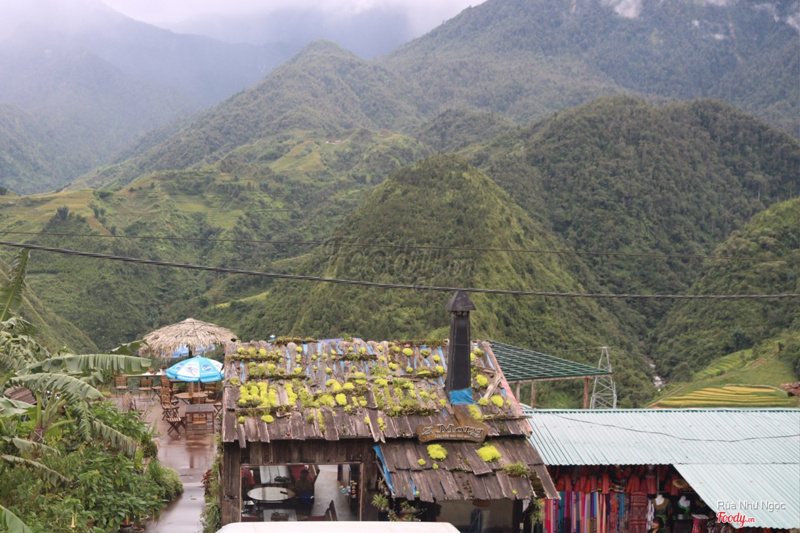 View từ homestay