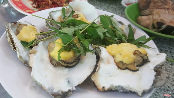 hào phô mai