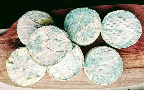 Familycheese - Phomai Cộng Hòa Séc