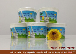 Sữa chua bò Ba Vì