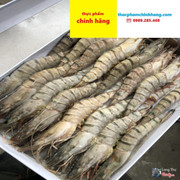 tôm sú