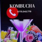 ị Kombucha là một loại trà được lên men và đã được sử dụng từ hàng ngàn năm trước đây. Trà Kombucha không chỉ có lợi ích sức khỏe như những loại trà thông thường vì chúng còn giàu men vi sinh có lợi và chứa một lượng lớn chất chống oxy hóa, có thể tiêu diệt vi khuẩn có hại và có tác dụng chống lại một số bệnh. Dưới đây là 8 lợi ích sức khỏe hàng đầu của kombucha, dựa trên bằng chứng khoa học.