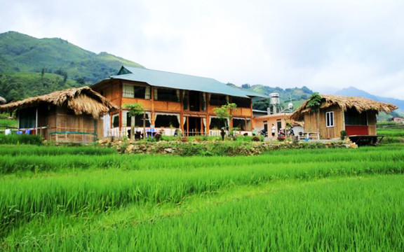 Golden Rice Garden