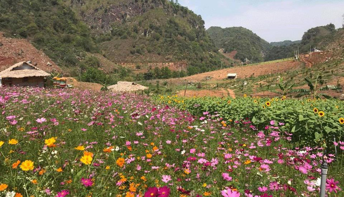 KDL Mộc Châu Happy Land