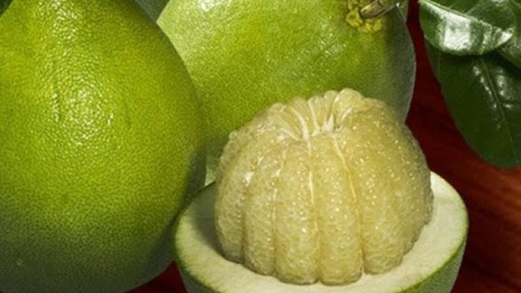 Trái Cây Lan Anh - Phạm Ngọc Thạch