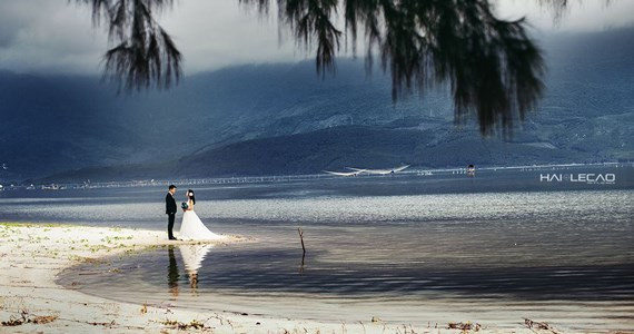 Hailecao Studio - Đào Tấn