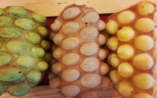 Bánh Trứng Hồng Kông Egg Waffles