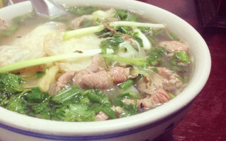 Hà nội