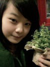 Mèo Heo