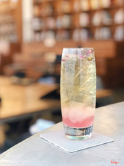 Cherry Blossom Aloe Vera Japanese Green Tea